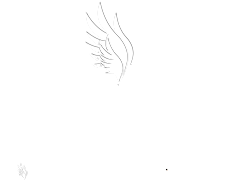 Media Fenix Group logo - Your media content quality network